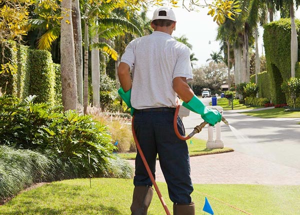 About Mayetta KS Pest Control